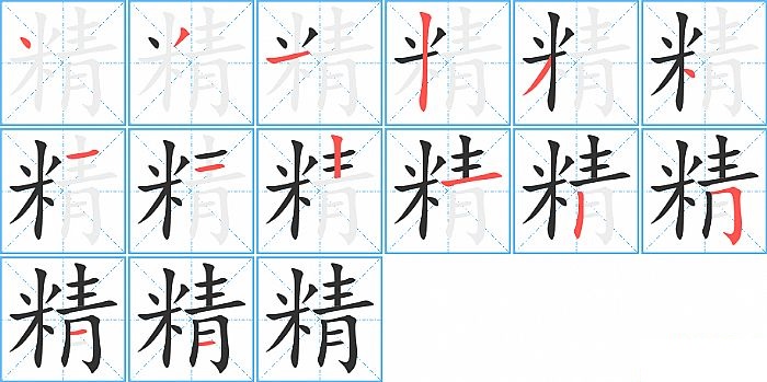 精的笔顺分步演示图