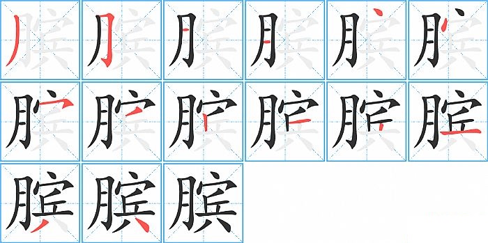 膑的笔顺分步演示图