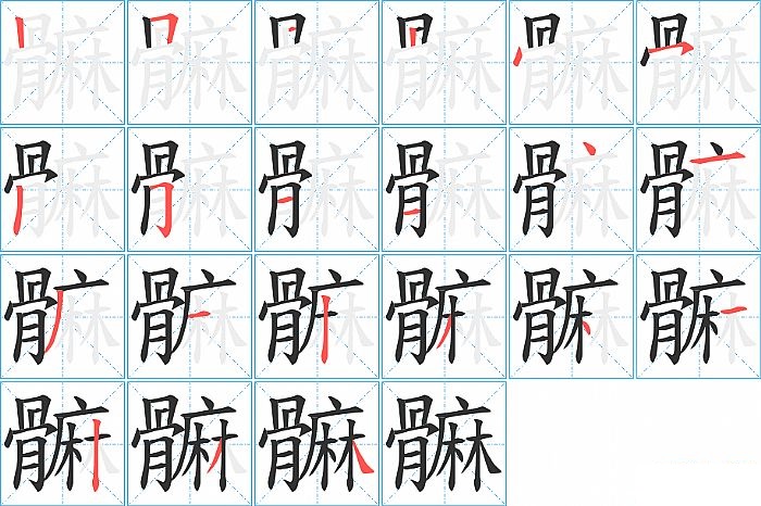 髍的笔顺分步演示图