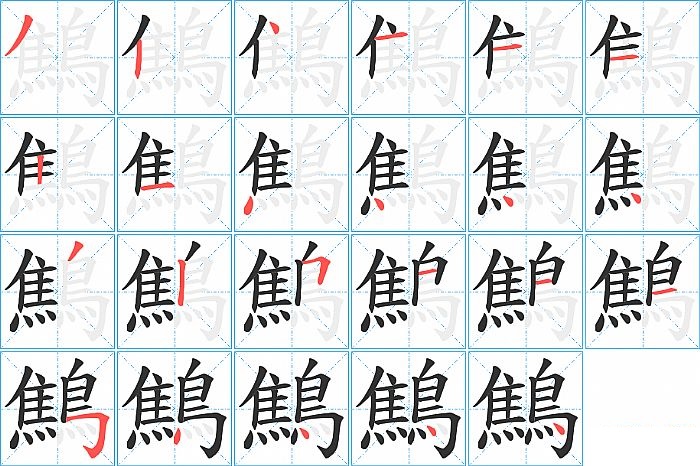 鷦的笔顺分步演示图