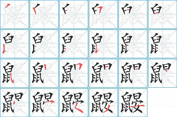 鼹的笔顺分步演示图