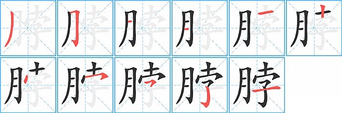 脖的笔顺_笔画_脖字怎么写_部首_笔划数查询